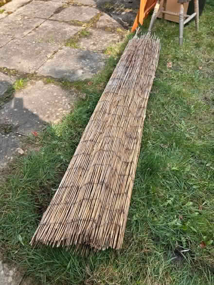 Photo of free Garden trellis (SK1 offerton) #1