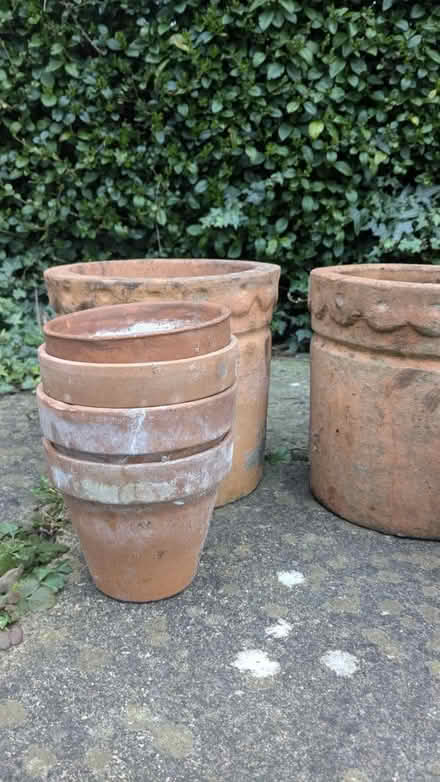 Photo of free Terracotta pots (Filton) #4