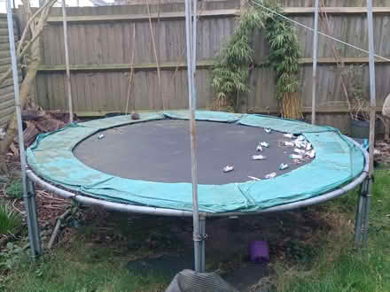 Photo of free Trampoline (Central Watford WD18) #1