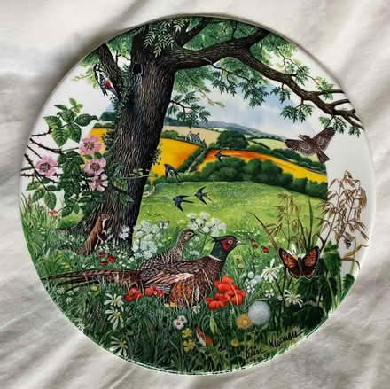 Photo of free Wedgewood Bone China Decorative Plate (PL21) #1