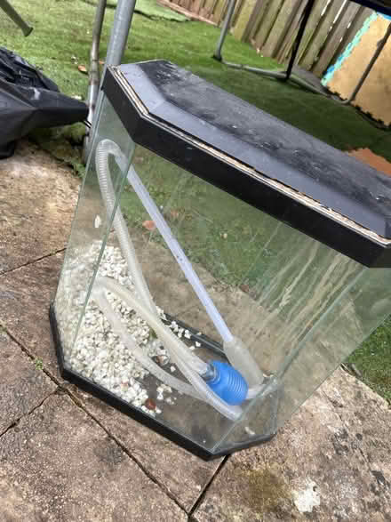 Photo of free Fish Tank 50L needs a good clean (Bath BA2) #1