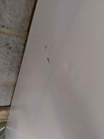 Photo of free Under counter freezer (Milborne Port) #3