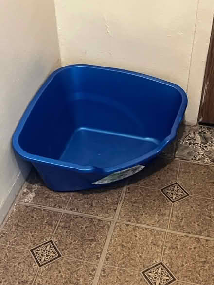 Photo of free Cat Supplies (1711 Randall Avenue, Bronx) #1