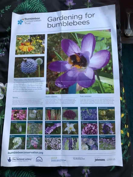 Photo of free Gardening for Bumblebees poster (Sprowston NR7) #1