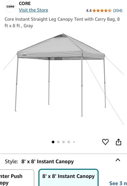Photo of free Canopy Tent with Carry Bag (South End) #1