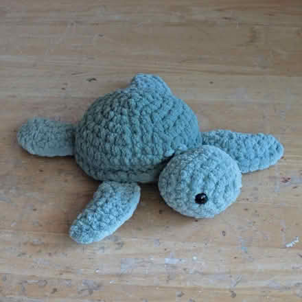 Photo of free Turtle Stuffie (Yonge Eglinton) #1