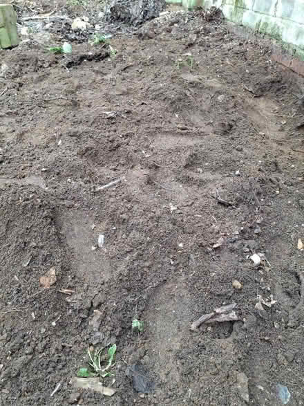 Photo of free Soil (Watton at Stone SG14) #1