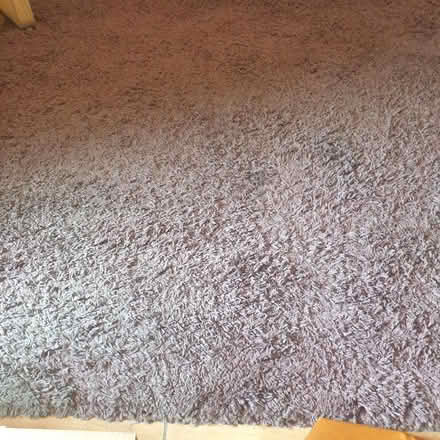 Photo of free Carpet mauve 200 x290 100% polypropolene (Netherfield NG4) #1