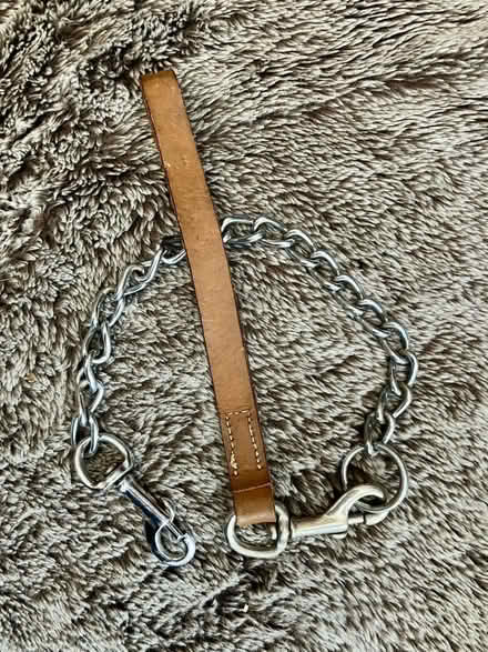 Photo of free Dog lead (Ifton Heath SY11) #1