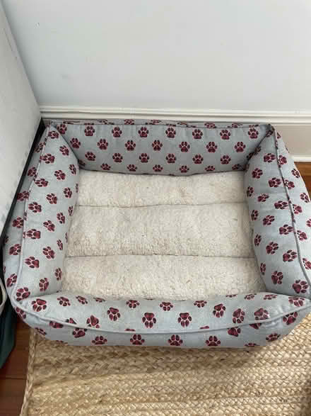 Photo of free Dog Bed (Trumbull) #1