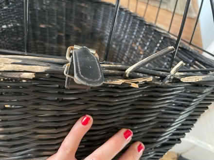 Photo of free Dog carrier / basket for bike (SW9) #4