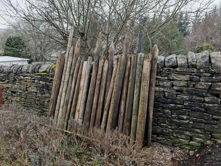 Photo of free 27 x Fence Posts (mainly 1.5m) (Alston CA9) #1