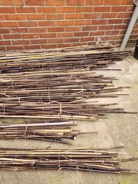 Photo of free Bundles of bamboo canes (various lengths) (Coley RG30) #1