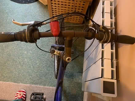 Photo of free Adult Bikes (SE19) #2