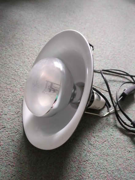 Photo of free Lamp with clamp for indoor pets (SS9) #1