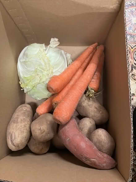 Photo of free sweet/white taters, cabbage, carrot (south sunnyvale) #1