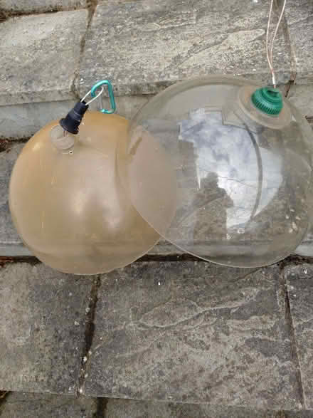Photo of free Two Squirel Guard Domes (Glyne Gap TN40) #1
