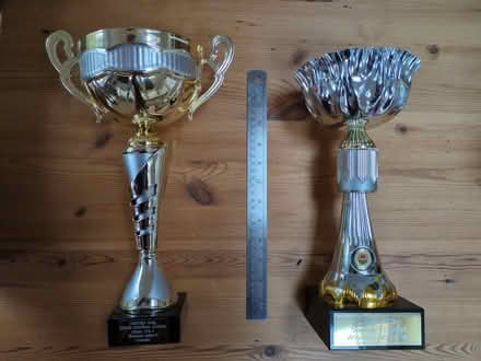 Photo of free Football Trophies (Botley OX2) #1