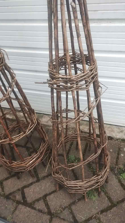 Photo of free Willow obelisk (Bexley DA5) #1