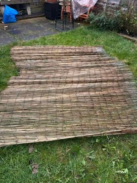 Photo of free Garden trellis (SK1 offerton) #2