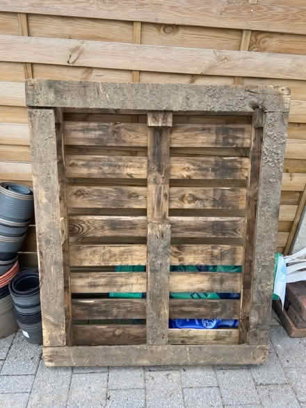 Photo of free 2 palettes (Keston) #1