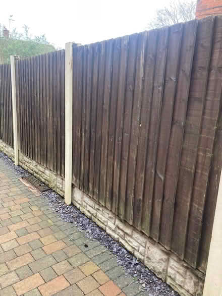 Photo of free Old fence panels (Upton CH2) #1