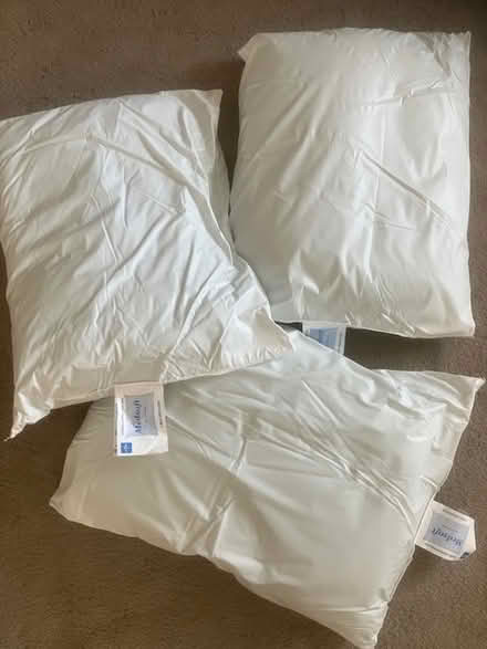 Photo of free Medisoft Pillows (Near El Camino & Walnut) #1