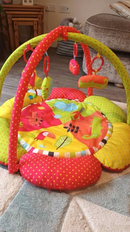 Photo of free Baby play mat (Ledbury HR8) #1