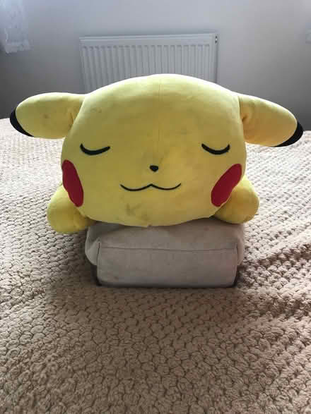 Photo of free Children’s soft toys (Pr4 2WA) #2