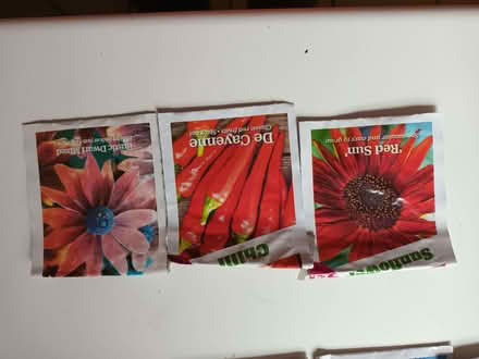 Photo of free Vegetable seed packets (Old Road OX3) #2