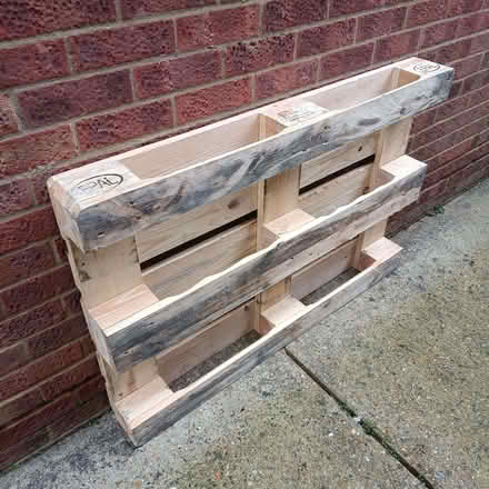 Photo of free Large clean pallet (Haldens AL7) #1