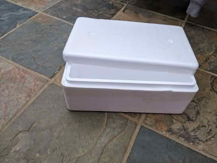 Photo of free Polystyrene box (Woking GU22) #1