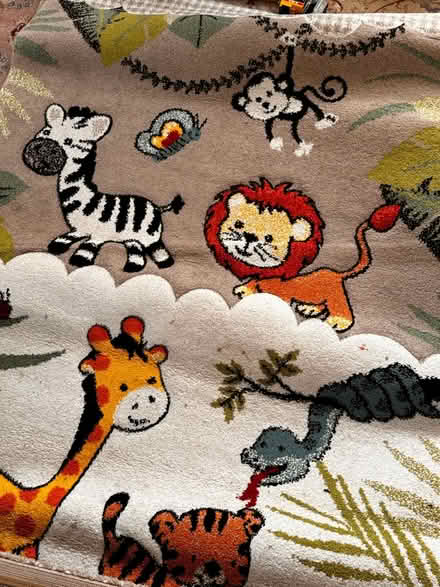 Photo of free Kids room rug in good condition (Baguley, M23) #1