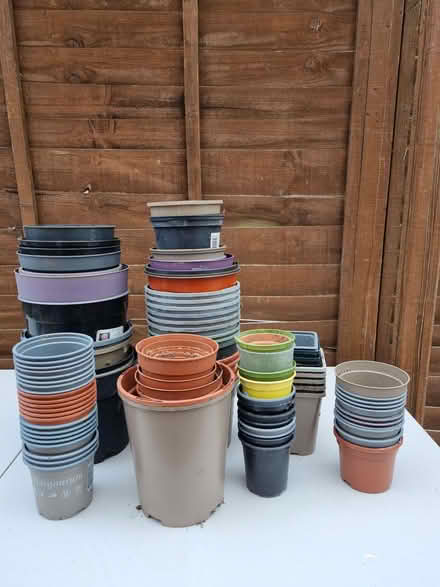 Photo of free Various plastic flower pots (Coley RG30) #1