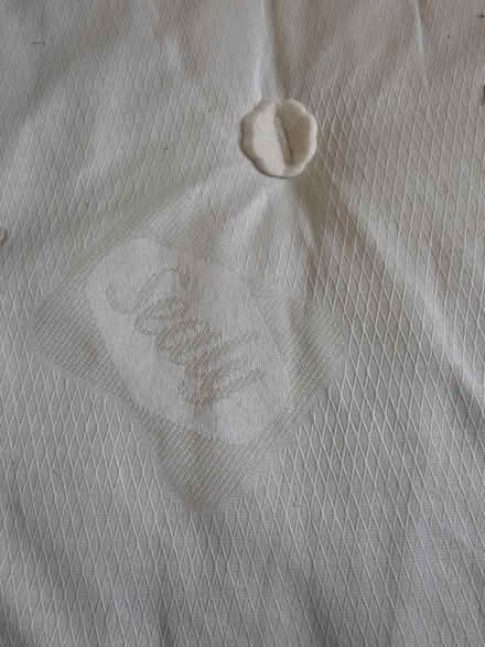 Photo of free Double bed springs (Ringmer) #1