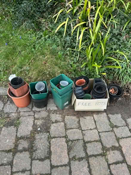 Photo of free Plant pots (Lymm) #1