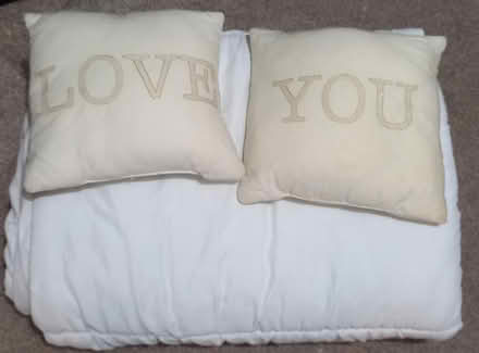 Photo of free Single duvet 2 cushions (Didcot OX11) #1