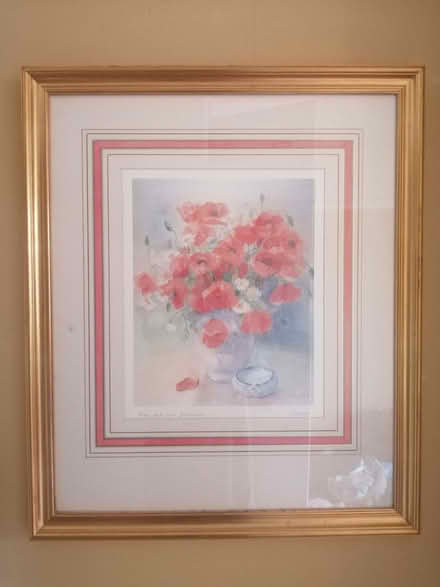 Photo of free Framed print of poppies (Kew TW9) #1
