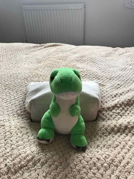 Photo of free Children’s soft toys (Pr4 2WA) #4