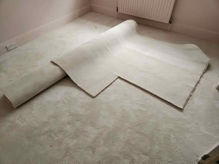 Photo of free Cream carpet (Haywards Heath RH16) #1
