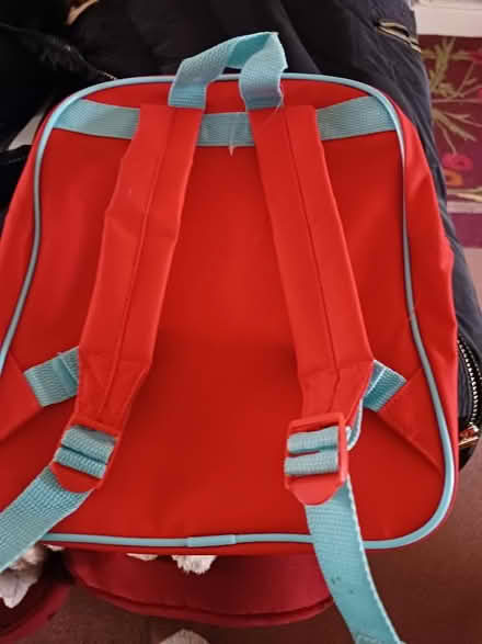 Photo of free Thomas back pac (Malvern Link WR14) #2