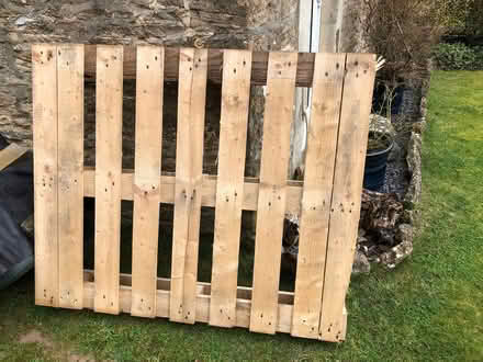 Photo of free Wooden pallet (Corsham SN13) #1
