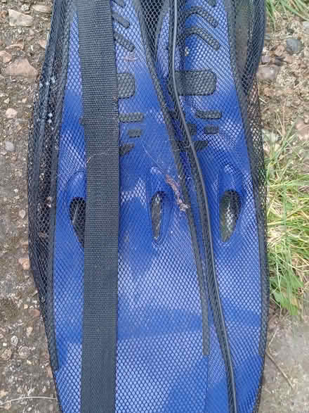 Photo of free Flippers (Central Watford WD18) #1