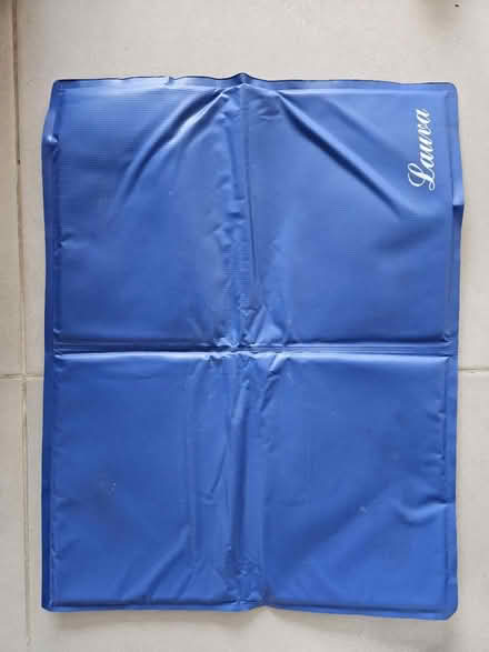 Photo of free Dog cool mat (Twickenham TW2) #1