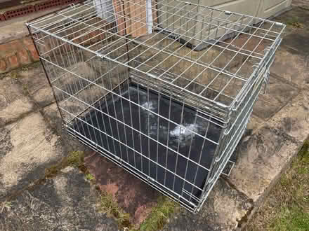 Photo of free Metal Pet Crate (Catford South SE12) #4