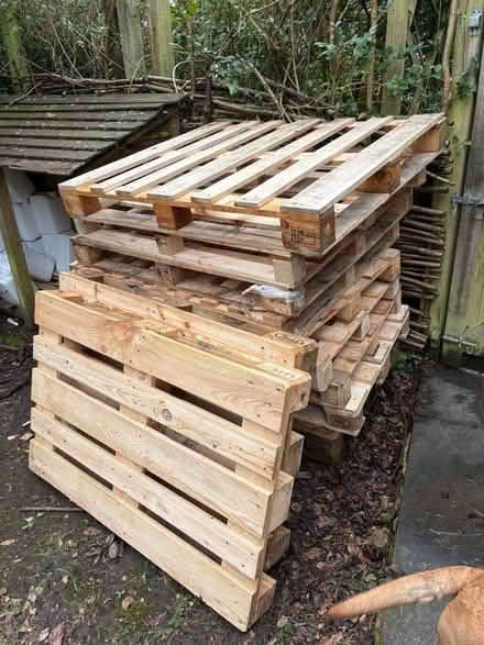 Photo of free 9 pallets (Radnage HP14) #2