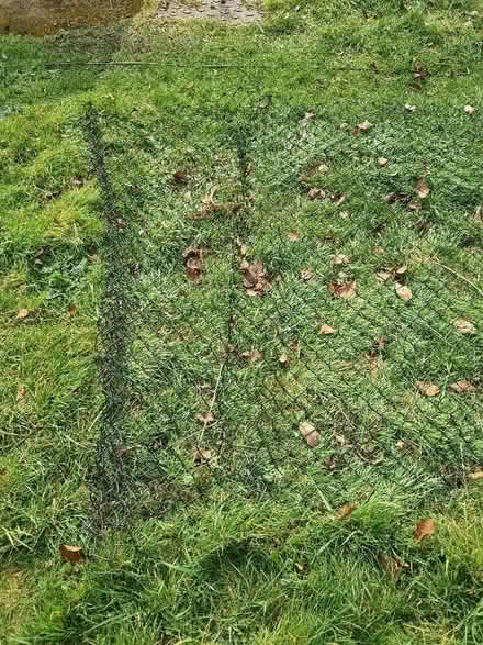 Photo of free Chain link fencing (Highworth SN6) #2