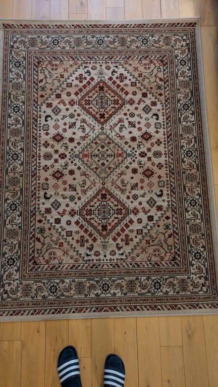 Photo of free A patterned rug (Catford SE6) #2