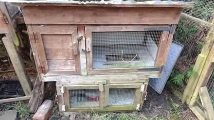 Photo of free Rabbit hutch and store (S41) #1