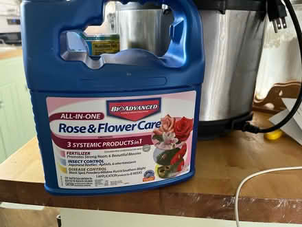 Photo of free Rose Treatment (Upper Roxborough) #1
